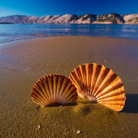 Apartament Rajska Plaza *